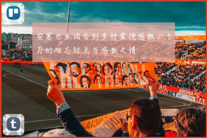 安塞尔米诺告别多特蒙德感慨六个月的难忘时光与感激之情